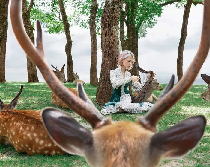 Russian Artist Gained 4.5M Followers By Taking Bizarre And Thought-Provoking Photos