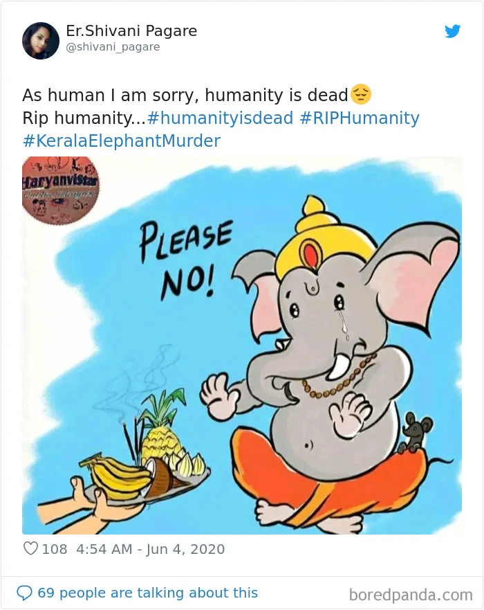 Artists Pay Tribute To The Pregnant Elephant Who Died Due To Someone Stuffing A Pineapple With Fireworks