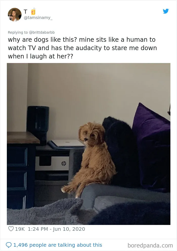 People Are Sharing Hilarious Pics Of Their Pets Sitting Like Total Weirdos In This Thread (30 Pics)