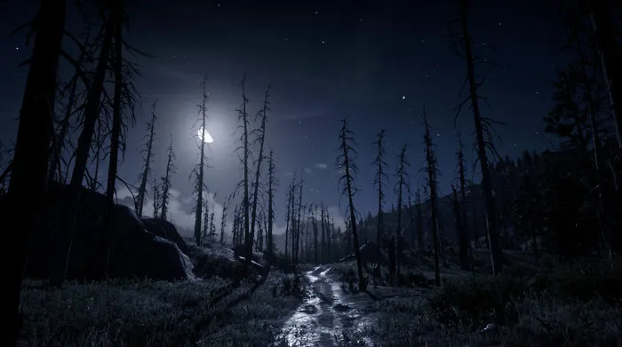 I Used My Photography Skills To Capture These 40 Pics In Red Dead Redemption 2