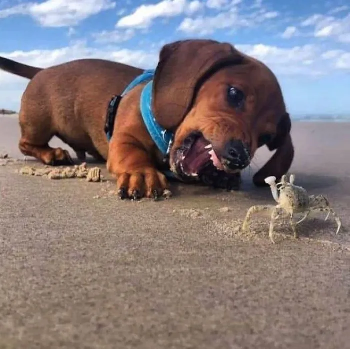 ¡Soy un monstruo!