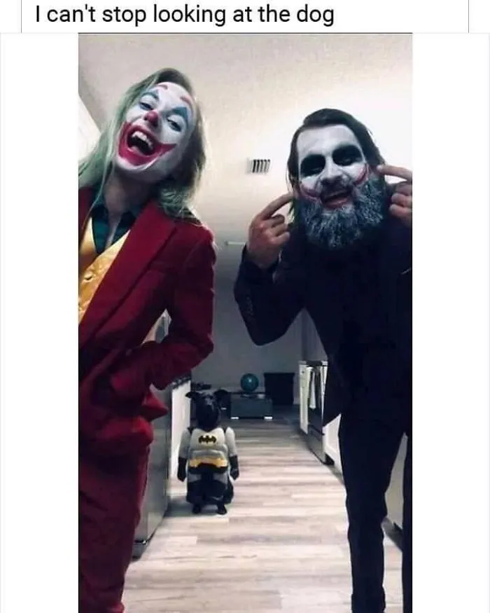 No puedo parar de mirar al perro