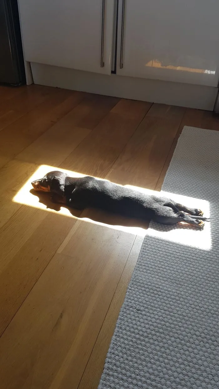 The Perfect Spot
