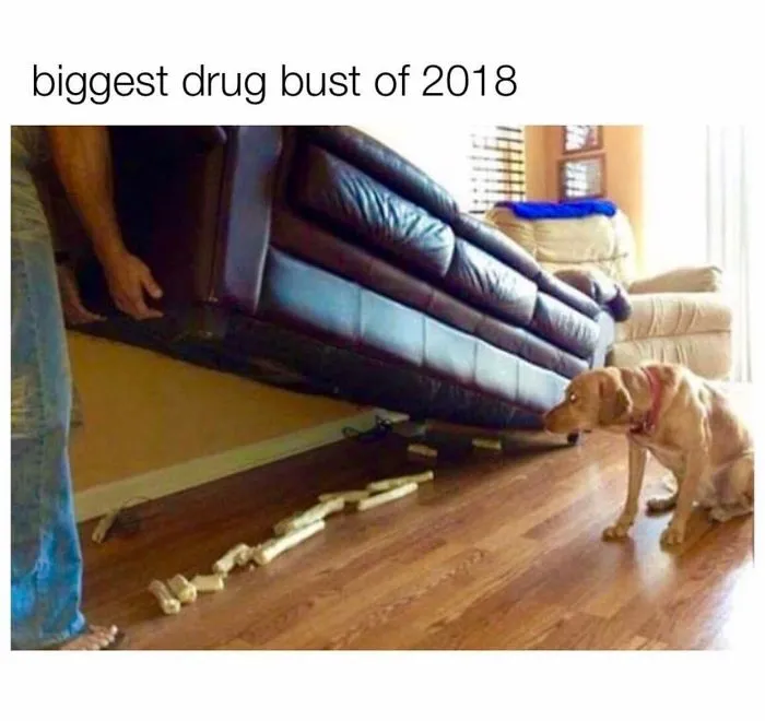 El mayor alijo encontrado en 2018