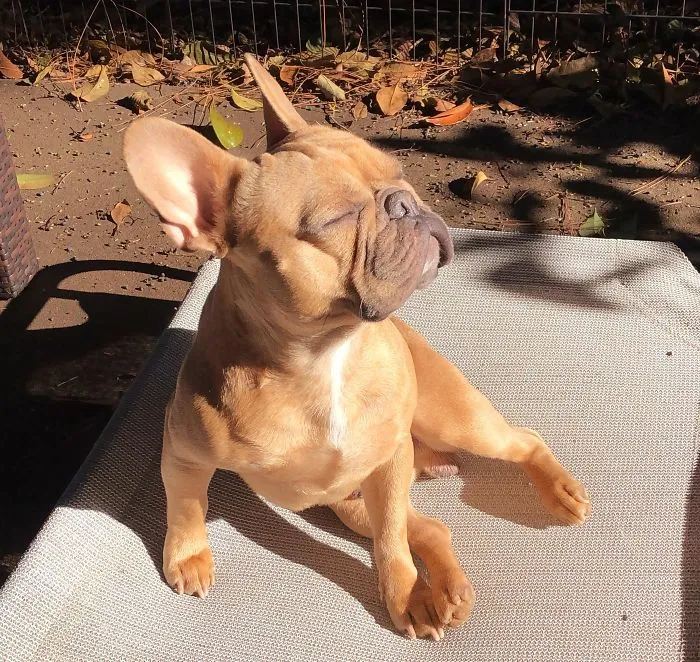 Even When It’s Cold Outside He Just Loves The Sun