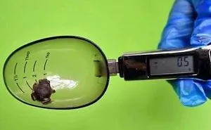 41 Tricks Animal Care Workers Use For Weighing Different Animals
