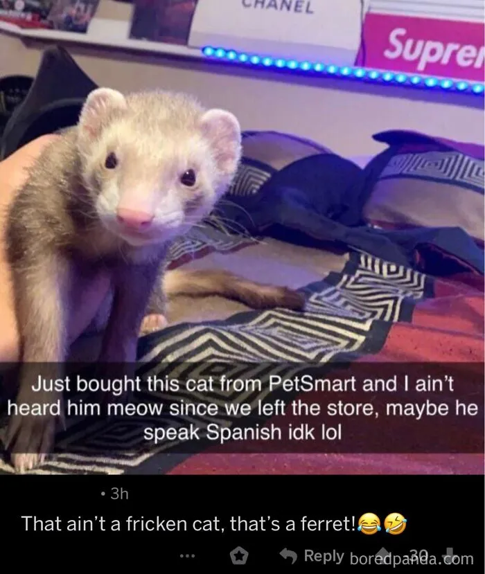 Woooosh