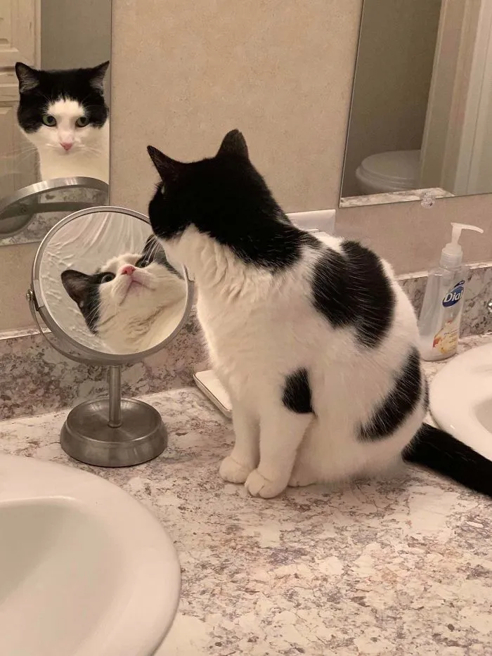 The Importance Of A Selfie Angle