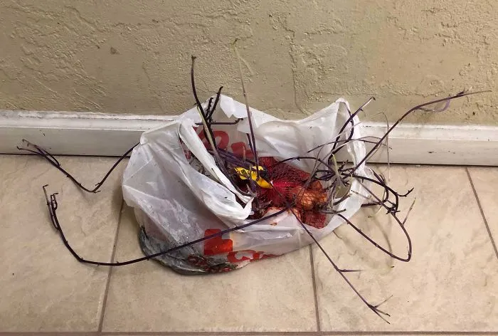 I Started Cleaning Out My Nest. I Began In The Kitchen, Here Are Some Potatoes That I Left In The Cupboard For Almost A Year.
