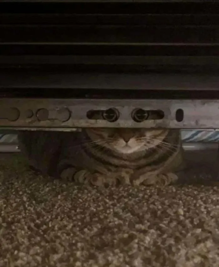 It Sees Me