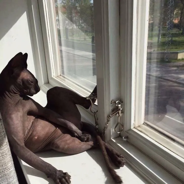 This Sun Is Very Comfortable