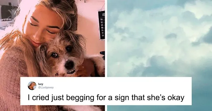 Woman Sees 'Her Dog' In The Sky A Few Hours After Her Death, Others Share Similar Pics And Stories