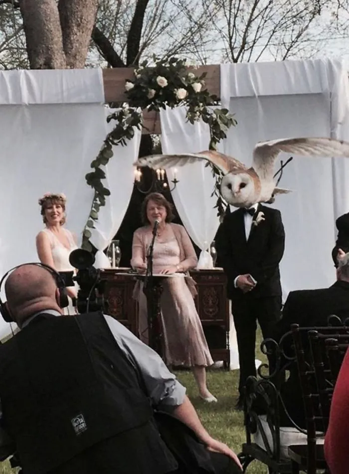 "Owl Always Love You"