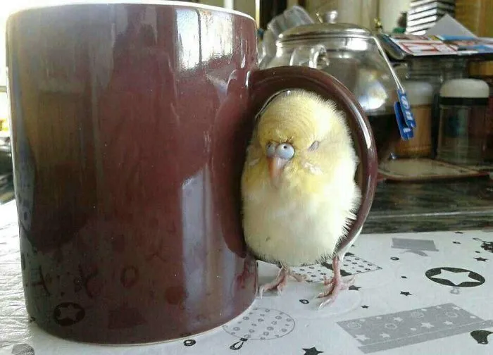 Warm Sits