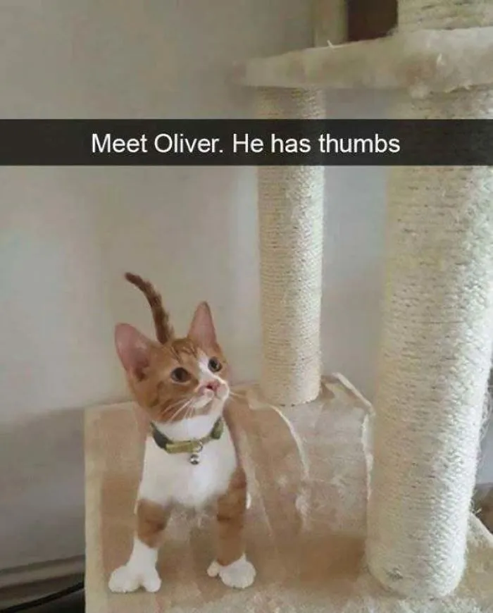 Este es Oliver. Tiene pulgares