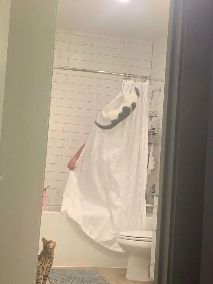 Heard My Husband Screaming While In The Shower..walked In On This