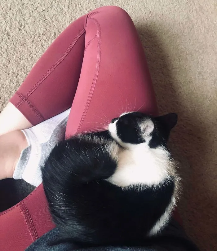 Lo adopté hace solo 1 hora