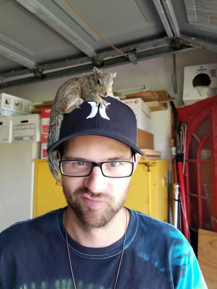 The Day After Hurricane Irma, This Baby Squirrel Ran Straight Up To Me, Jumped Into My Hands And Passed Out. I'm Sure It Had A Rough Night