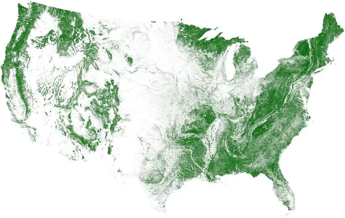 Tree Cover Map Of The US