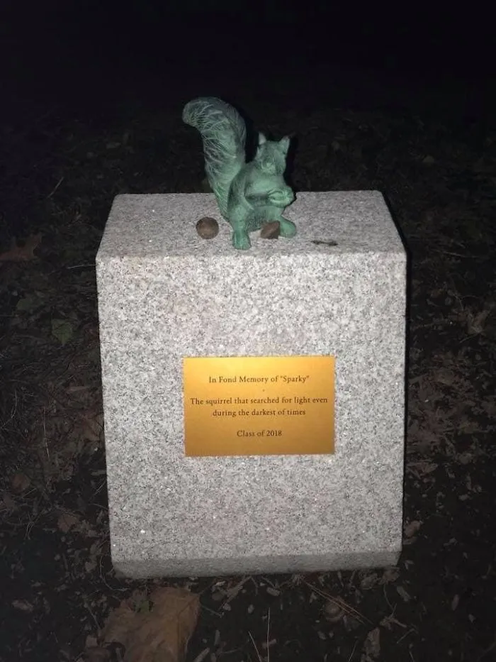 Homenaje a la ardilla que mordió un cable e hizo que se cancelaran las clases 2 días. Fue pagado por los alumnos