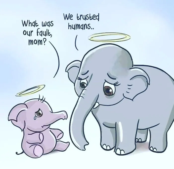 Artists Pay Tribute To The Pregnant Elephant Who Died Due To Someone Stuffing A Pineapple With Fireworks