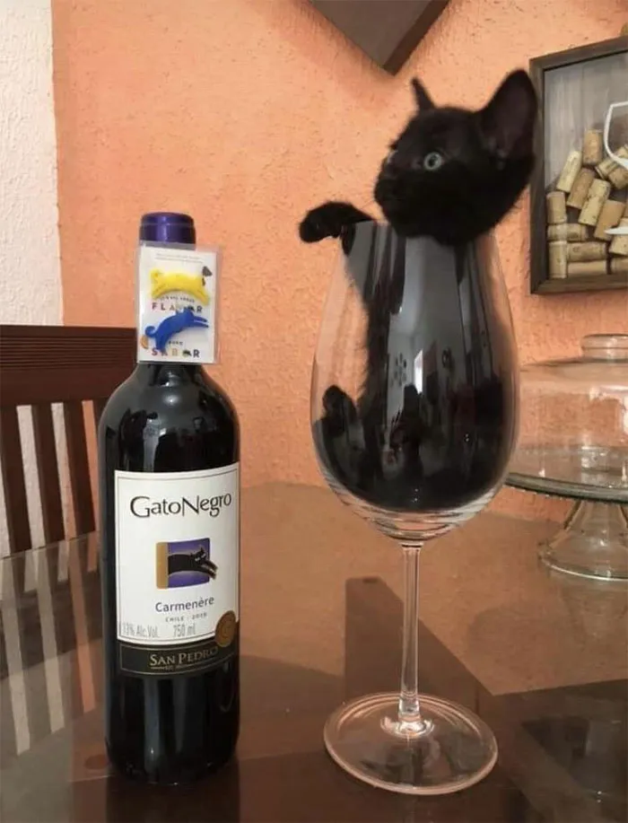 El vino se llama así de verdad