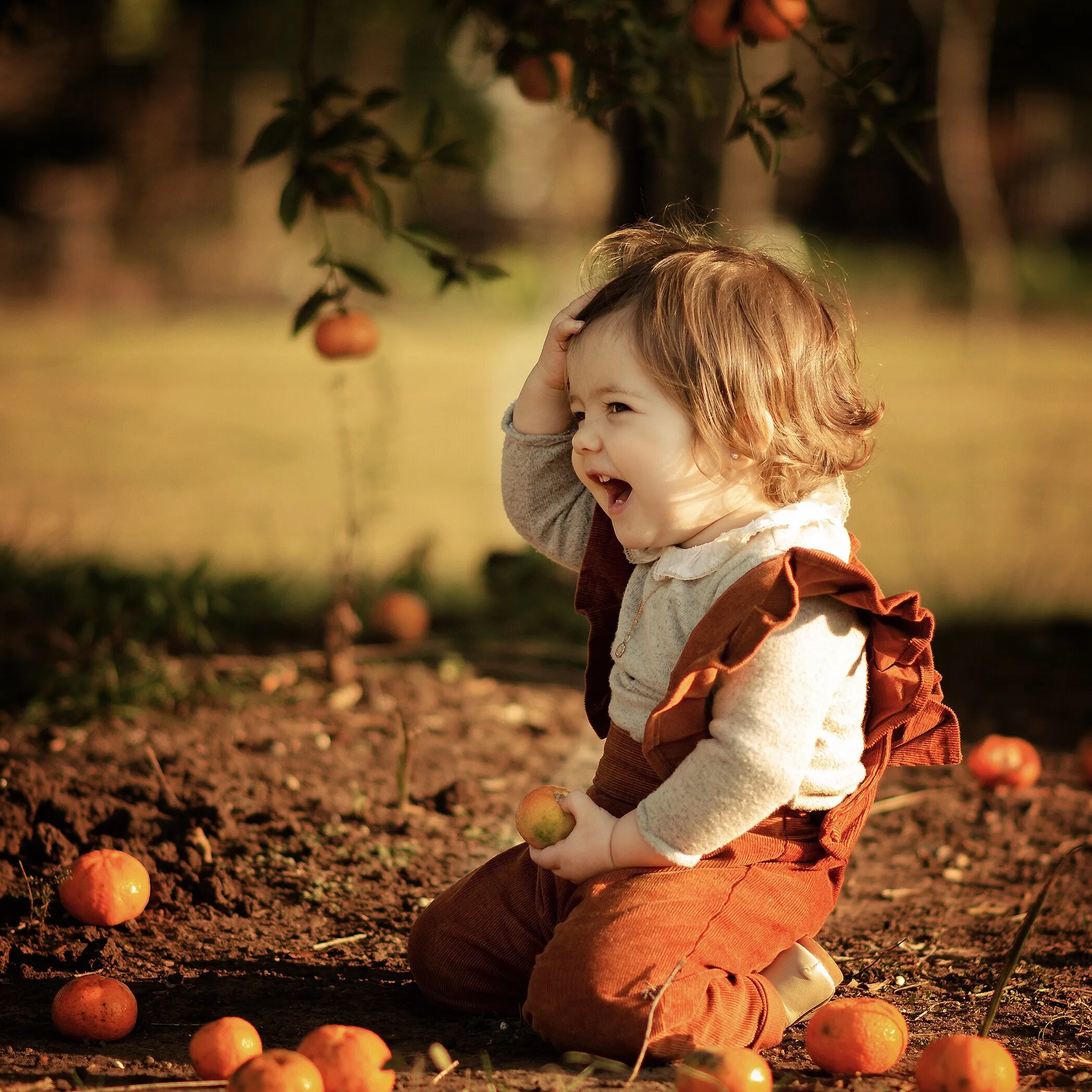 Sweet Tangerine