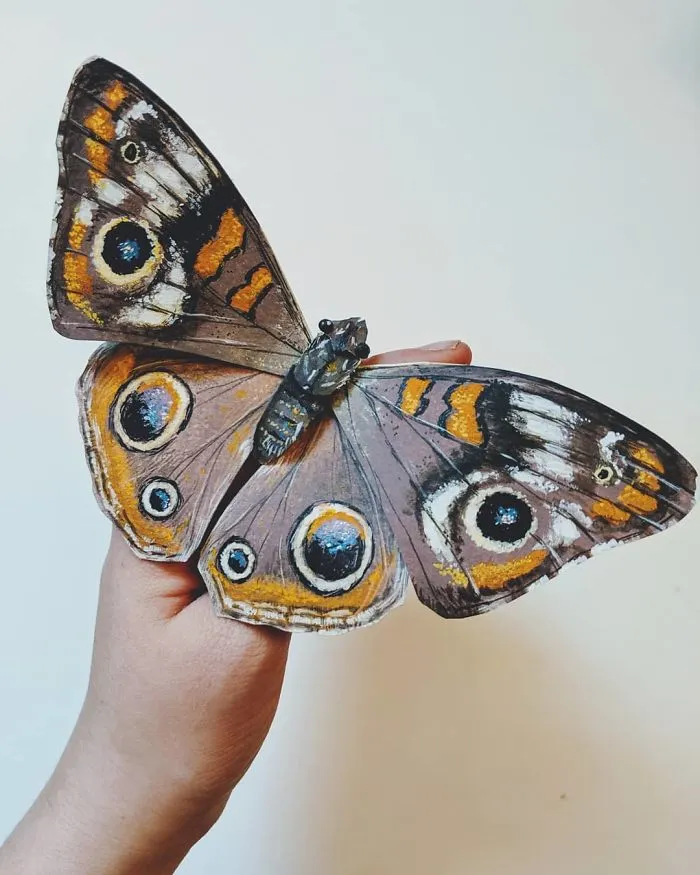 21 Gorgeous Paper Sculptures Of Butterflies And Beetles By Kerilynn Wilson
