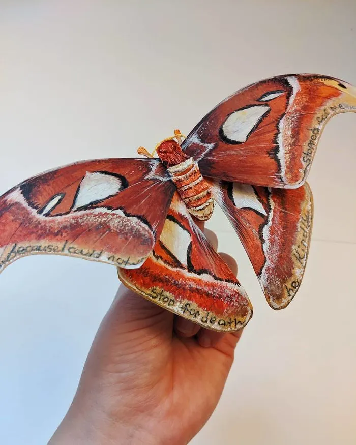 21 Gorgeous Paper Sculptures Of Butterflies And Beetles By Kerilynn Wilson