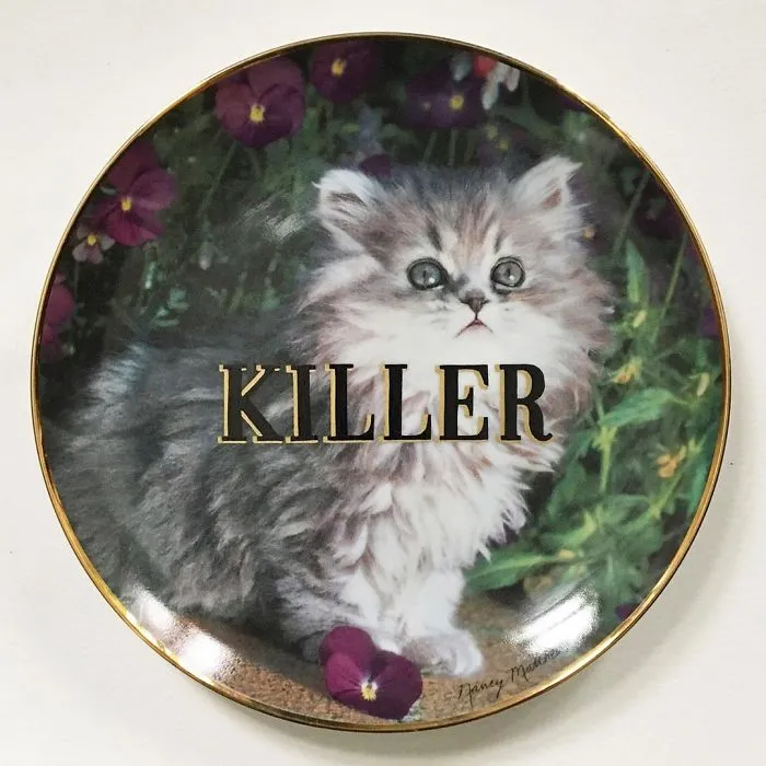 Thrifted Vintage Plates Made Irreverent With Typography By Marie-Claude Marquis (62 Pics)