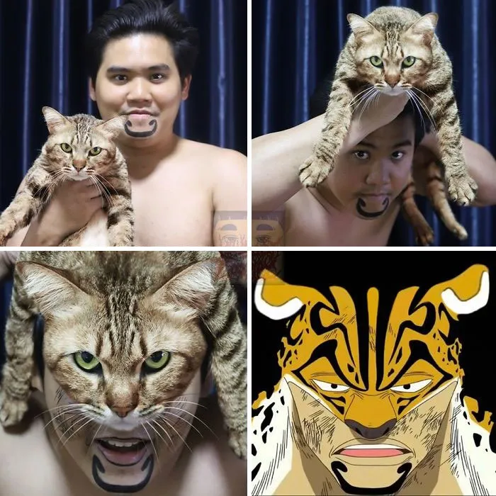 35 Nuevos disfraces del chico del cosplay barato tan divertidos como acertados