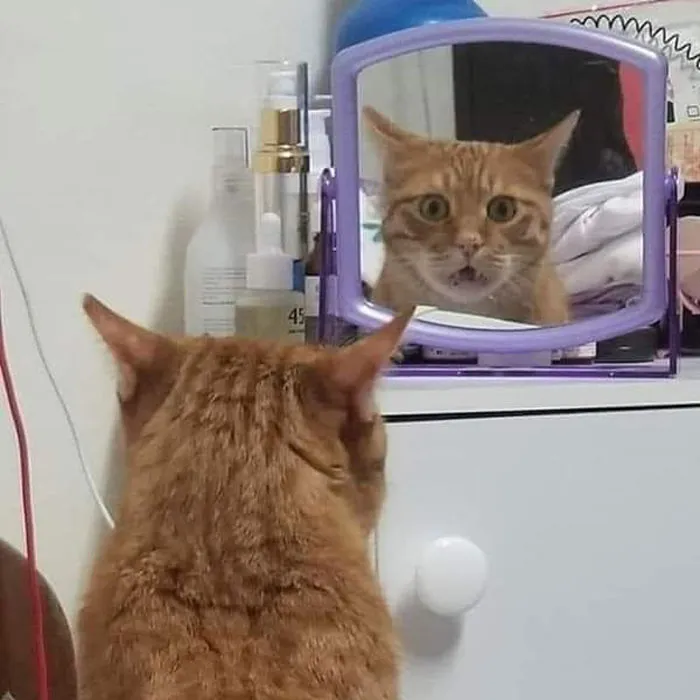 Looking In The Mirror