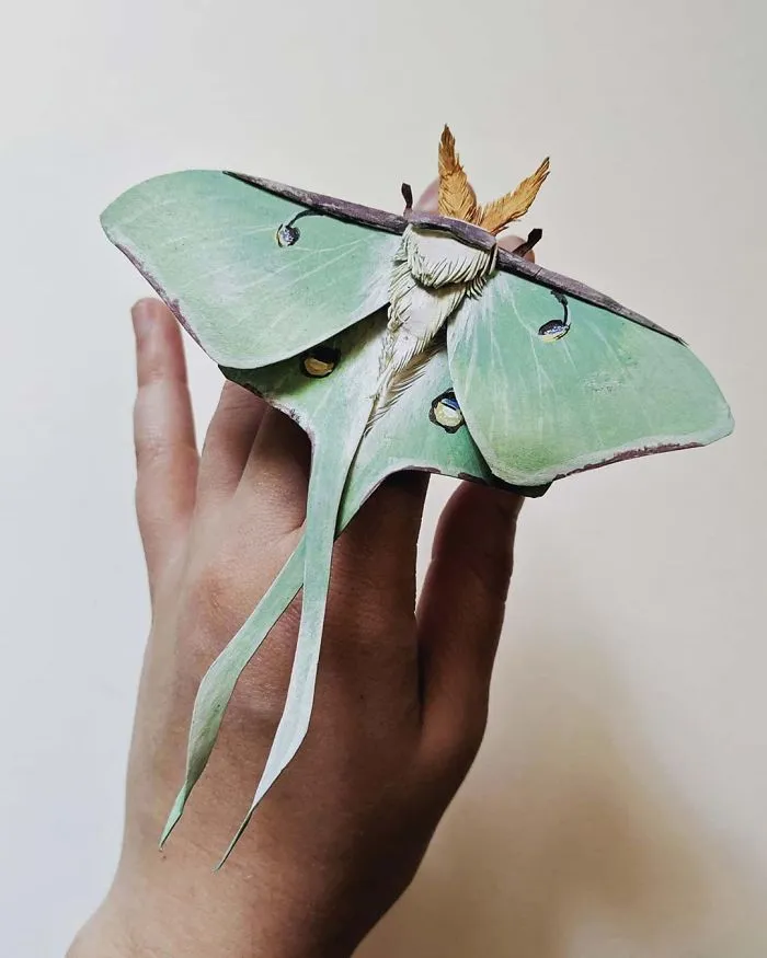 21 Gorgeous Paper Sculptures Of Butterflies And Beetles By Kerilynn Wilson