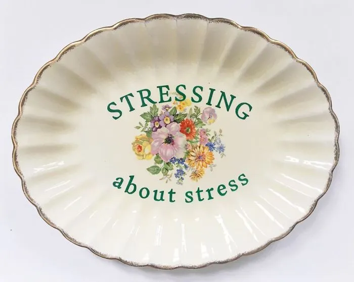 Thrifted Vintage Plates Made Irreverent With Typography By Marie-Claude Marquis (62 Pics)