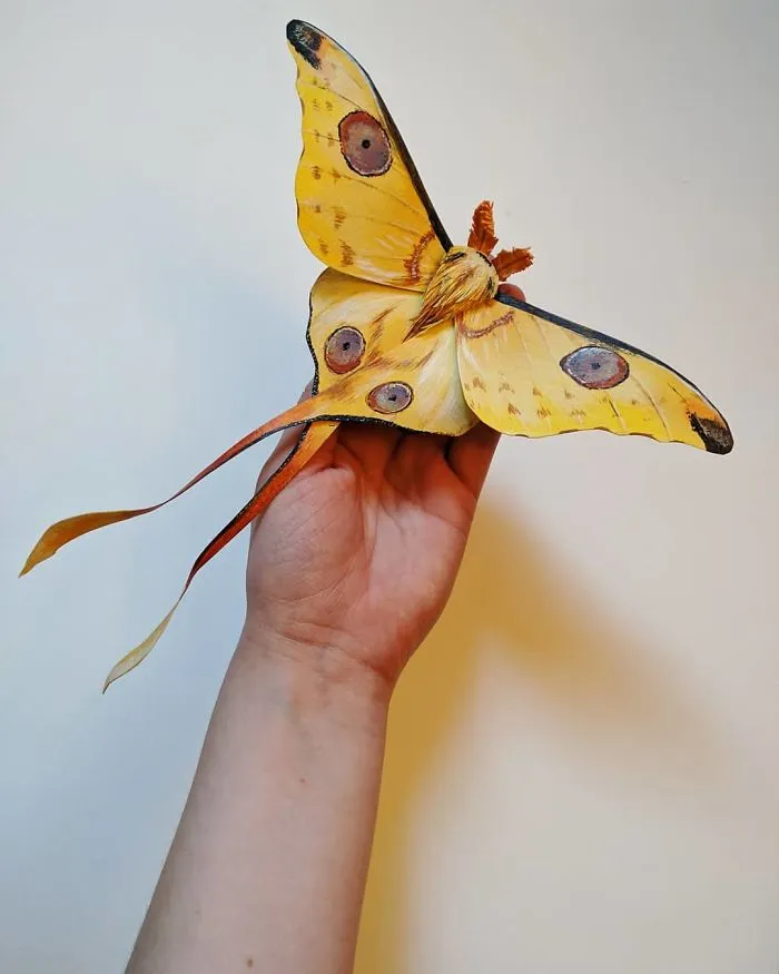 21 Gorgeous Paper Sculptures Of Butterflies And Beetles By Kerilynn Wilson