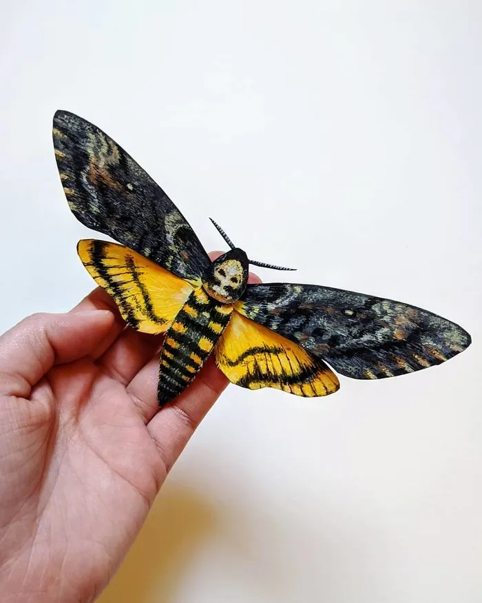 21 Gorgeous Paper Sculptures Of Butterflies And Beetles By Kerilynn Wilson