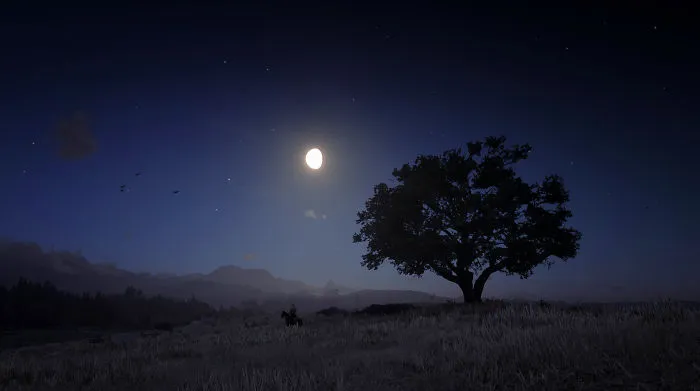 I Used My Photography Skills To Capture These 40 Pics In Red Dead Redemption 2