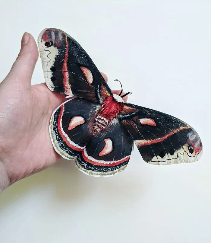 21 Gorgeous Paper Sculptures Of Butterflies And Beetles By Kerilynn Wilson