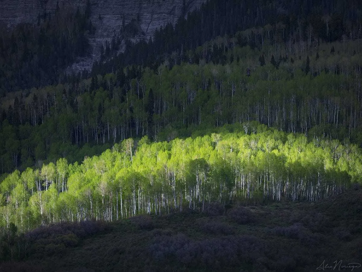 39 Beautiful Award Winning Photos Of Nature