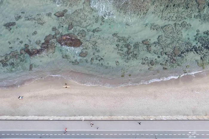 Dog Beach