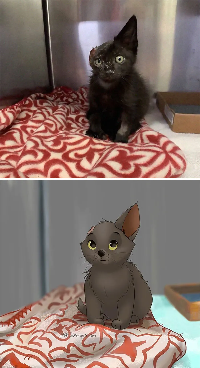 People Send Pics Of Their Pets To This Artist And She Disneyfies Them (30 Pics)