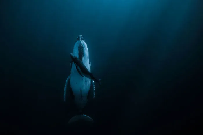 Water: Grand Prize, Jasmine Carey