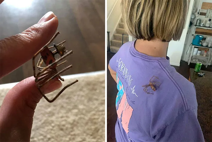 Encontré este pin en forma de araña por 25 centavos. Me lo puse en el hombro y le di un buen susto a mi hijo