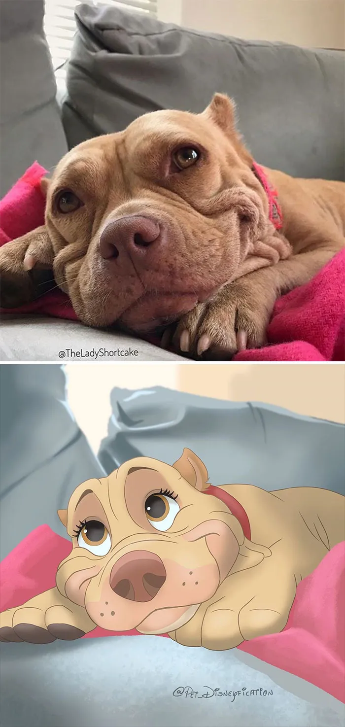 People Send Pics Of Their Pets To This Artist And She Disneyfies Them (30 Pics)