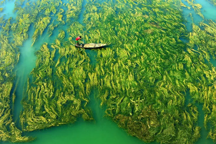 Mobile Photography: 1st Winner, Apratim Pal