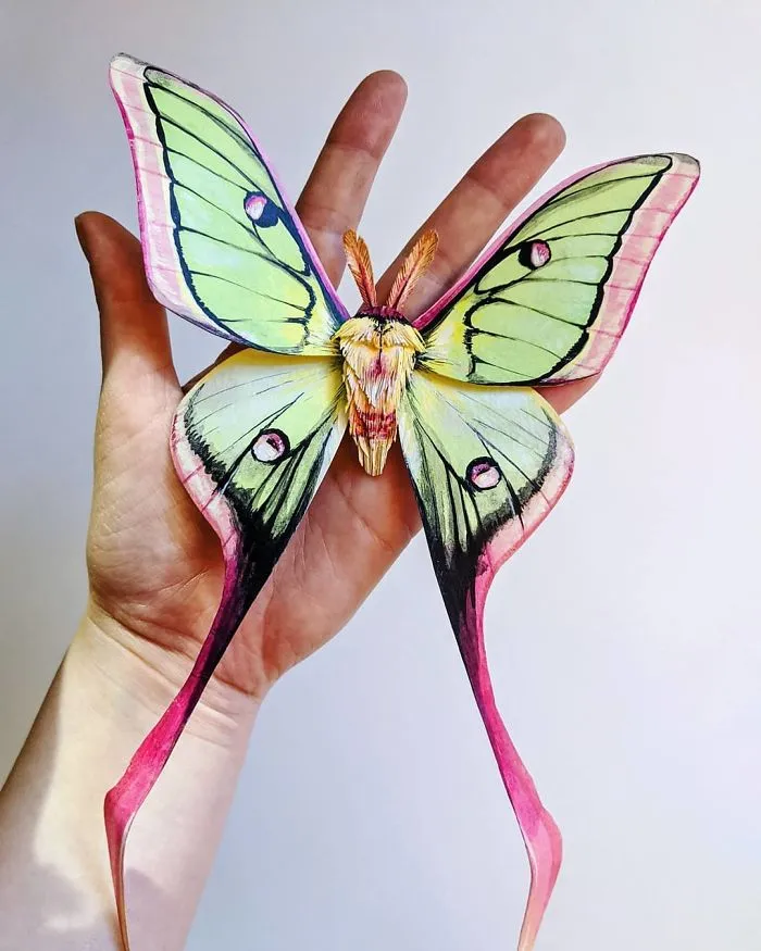 21 Gorgeous Paper Sculptures Of Butterflies And Beetles By Kerilynn Wilson
