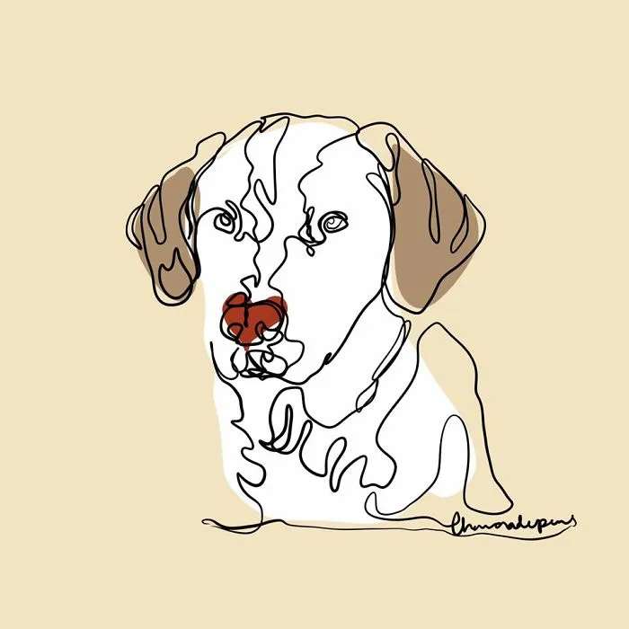 Labrador