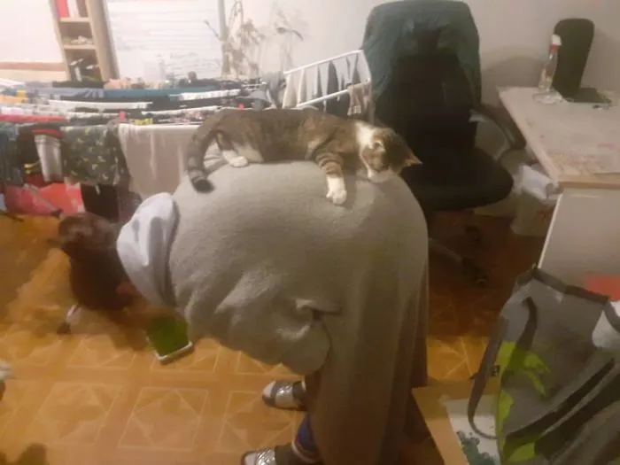 I Can't Quite Remember How She Got There