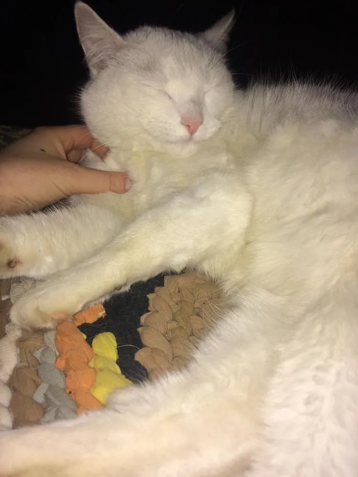 After 5 Years Of Sleeping