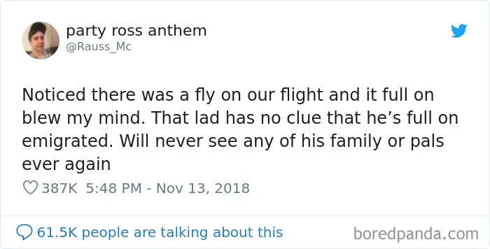 40 Times Scottish People Proved They Have The Best Sense Of Humor